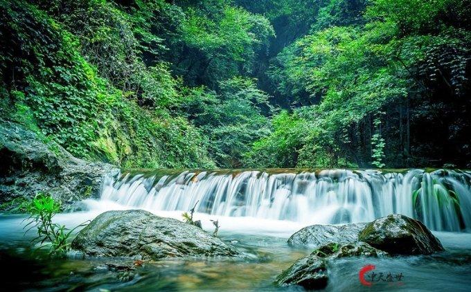 植物大战僵尸